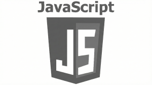 Home JavaScript
